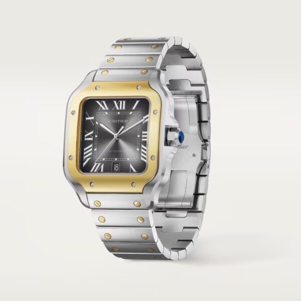 IMG-20250509-WA0030 Santos de Cartier Watch (large model)