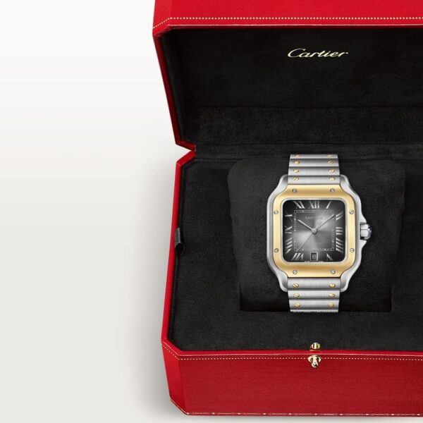 IMG-20250509-WA0031 Santos de Cartier Watch (large model)