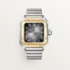 Santos de Cartier Watch (large model)