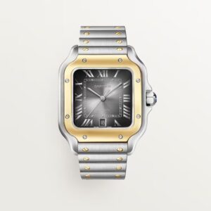 Santos de Cartier Watch (large model)