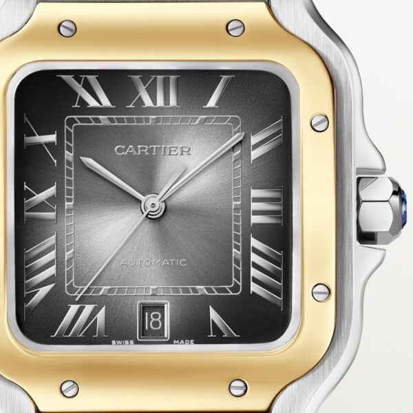 IMG-20250509-WA0035 Santos de Cartier Watch (large model)